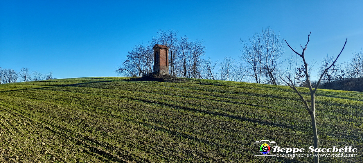 20230110_151549 - Dalla terra... il grano.jpg